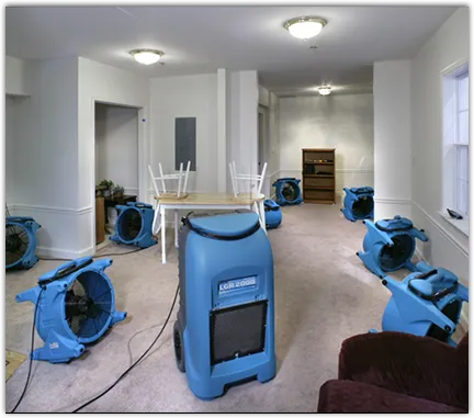 Mold Remediation & Removal in Nellis AFB, NV