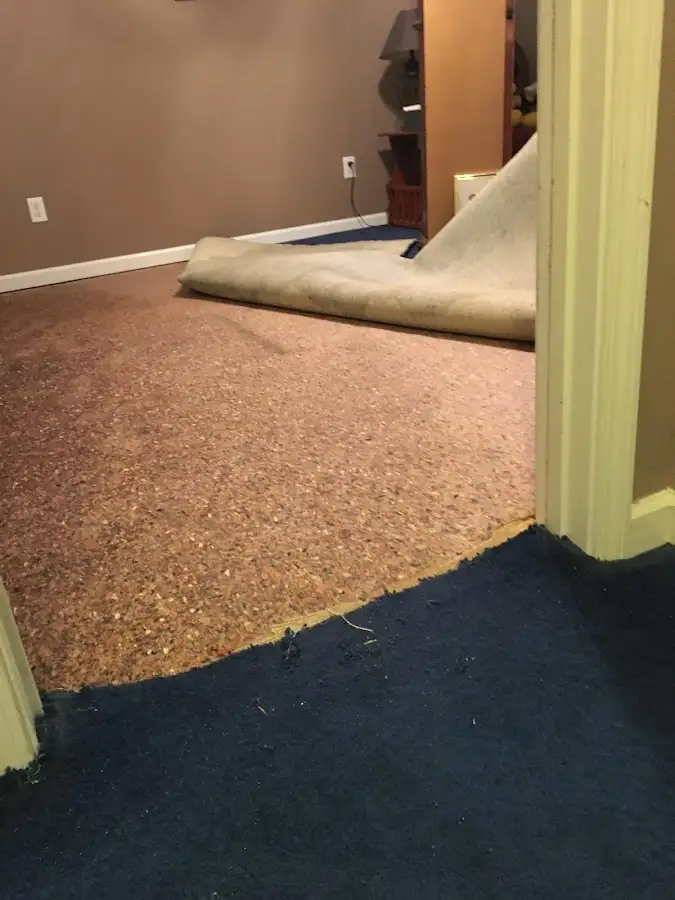 Carpet pad removal revealing water damage during Drying & Dehumidification in Nellis AFB
